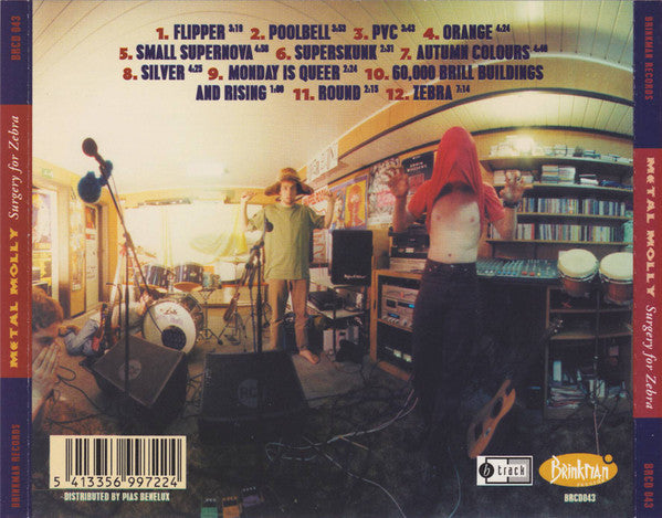 Metal Molly : Surgery For Zebra (CD, Album)