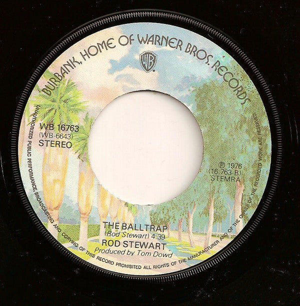 Rod Stewart : Tonight's The Night (7", Single)
