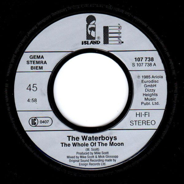 The Waterboys : The Whole Of The Moon (7", Single, Sta)