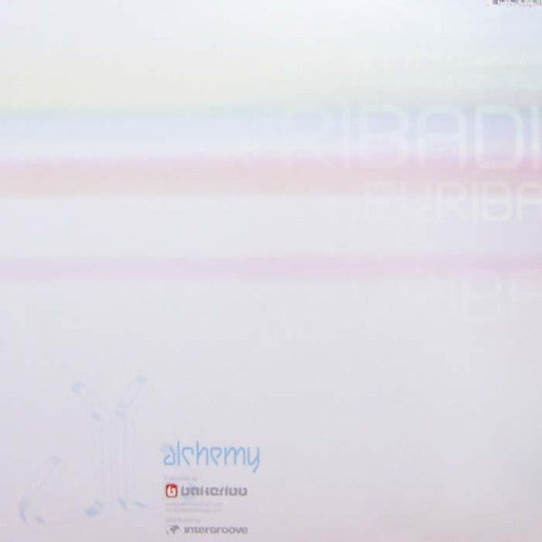 Mauro Picotto : Evribadi (12")