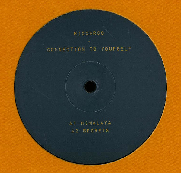 Riccardo (24) : Connection To Yourself (12")