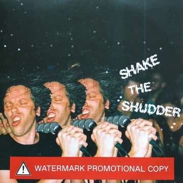 !!! : Shake The Shudder (CDr, Album, Copy Prot., Promo)