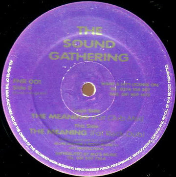 The Sound Gathering : The Meaning (12", Sil)