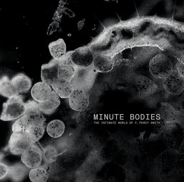 Tindersticks with Thomas Belhom and Christine Ott : Minute Bodies - The Intimate World Of F. Percy Smith (LP, Album, 180 + DVD-V, PAL + Ltd)