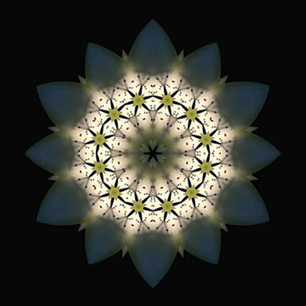 Various : It Happened On A Day (10", Ltd)