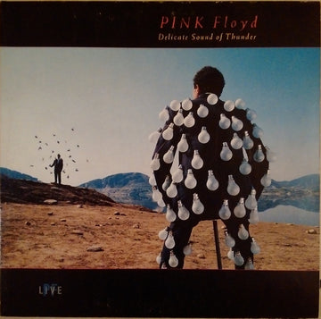 Pink Floyd : Delicate Sound Of Thunder (2xLP, Album, Gat)