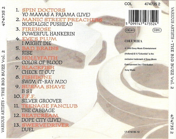 Various : The Big Buzz Vol.2 (CD, Comp)