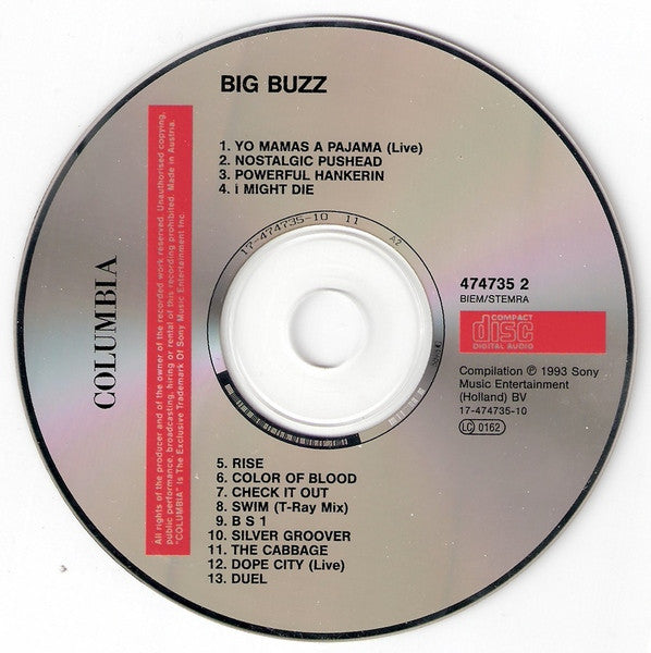 Various : The Big Buzz Vol.2 (CD, Comp)