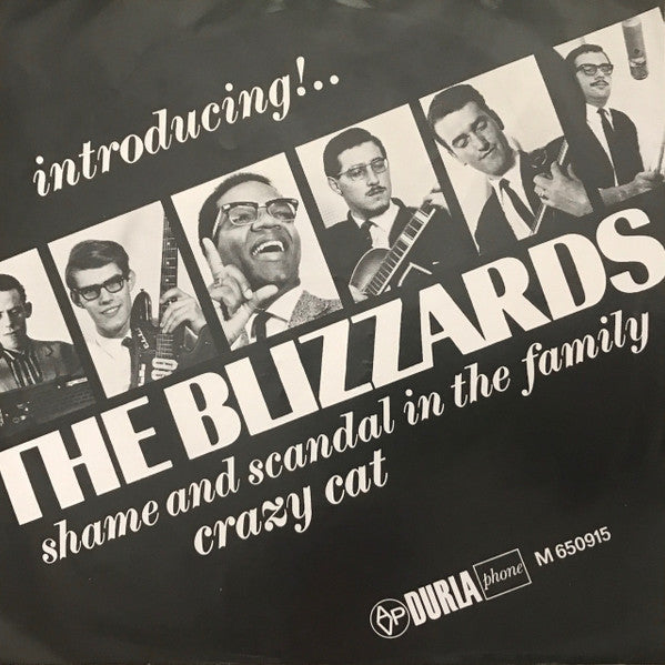 The Blizzards (8) : Shame And Scandal In The Family (7")