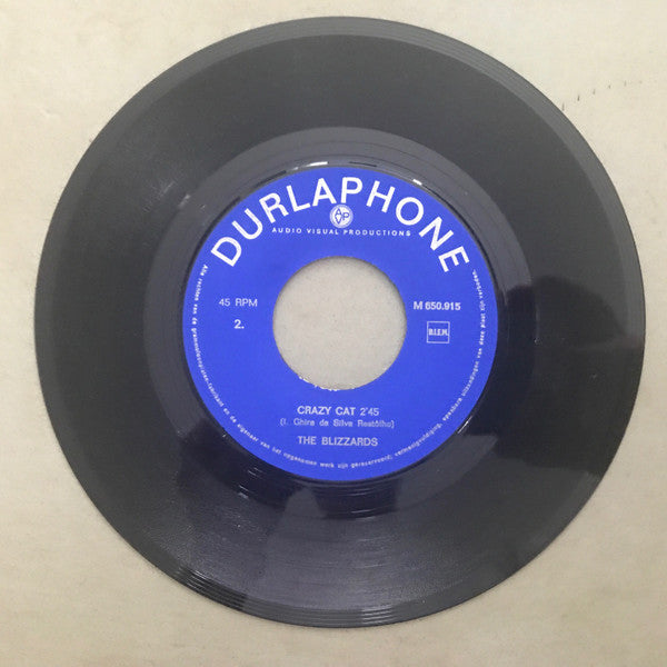 The Blizzards (8) : Shame And Scandal In The Family (7")