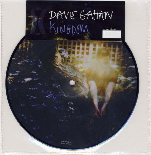 Dave Gahan : Kingdom (7", Single, Ltd, Num, Pic)