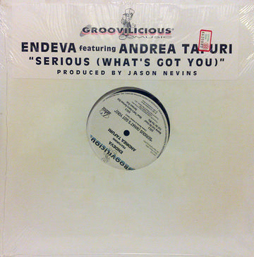 Endeva Featuring Andrea Tafuri* : Serious (What's Got You) (12")