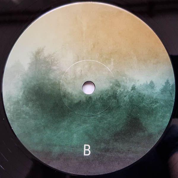 Carbon Based Lifeforms : Interloper (2xLP, Album, RE, RP)