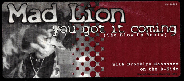 Mad Lion : You Got It Coming (The Remixes) / Brooklyn Massacre (12")