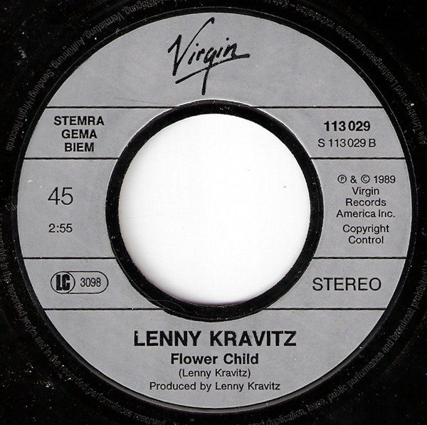 Lenny Kravitz : I Build This Garden For Us (7", Single)