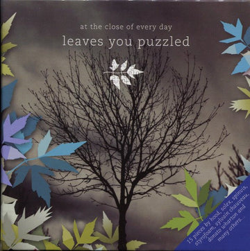 At The Close Of Every Day : Leaves You Puzzled (CD, Album, Ltd)