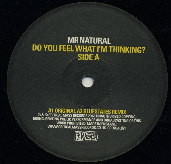 Mr Natural* : Do You Feel What I'm Thinking? (12")