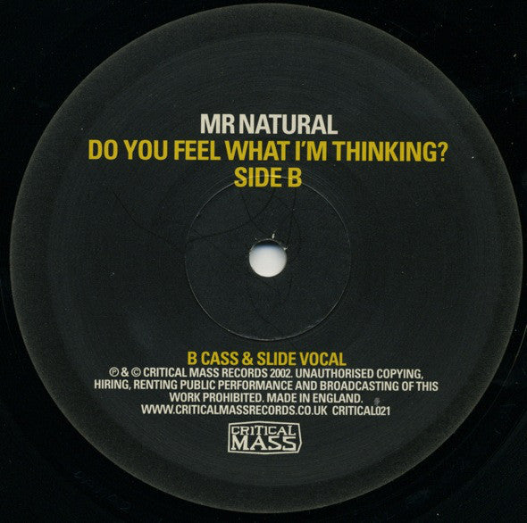Mr Natural* : Do You Feel What I'm Thinking? (12")