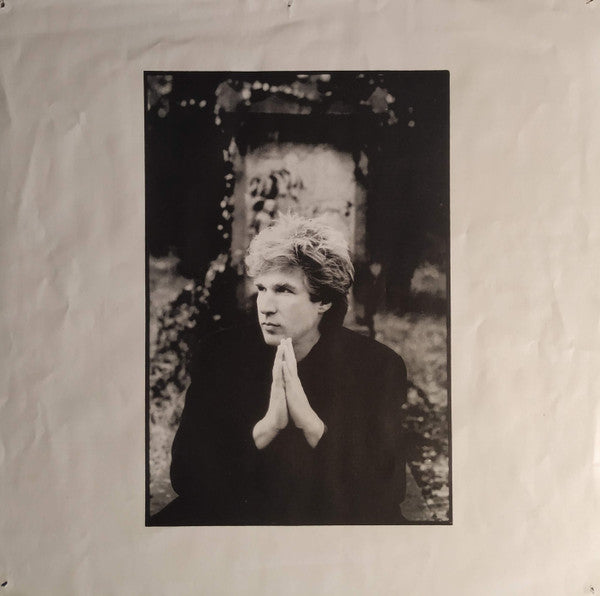Frank Boeijen Groep : Foto Van Een Mooie Dag (LP, Album)