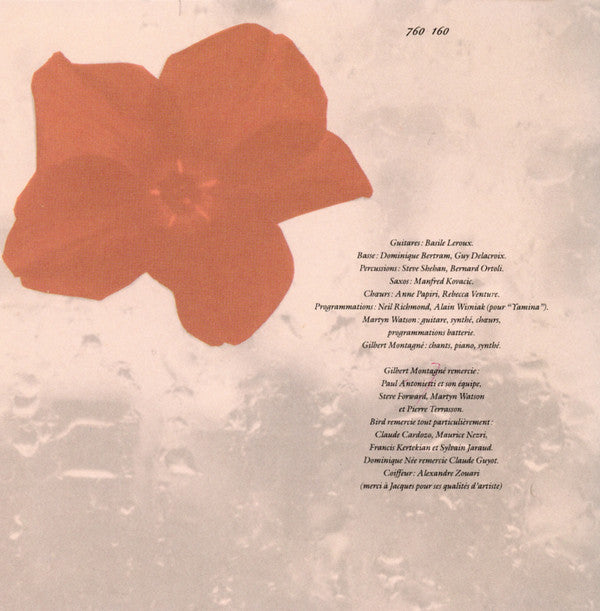 Gilbert Montagné : Entre Douceur Et Violence (CD, Album, Gol)