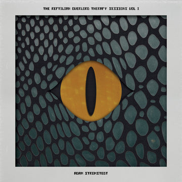 Adam Strömstedt : The Reptilian Overlord Therapy Sessions Vol. I (12", EP)