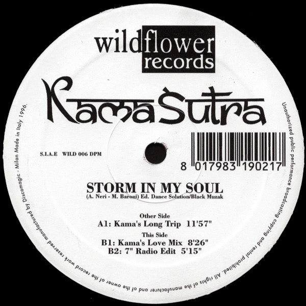 Kamasutra : Storm In My Soul (2x12")