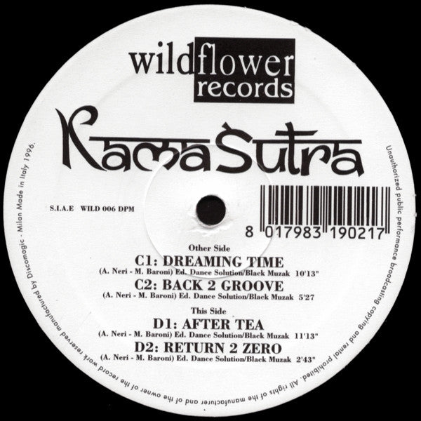 Kamasutra : Storm In My Soul (2x12")