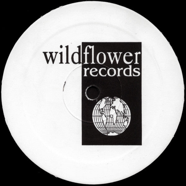 Kamasutra : Storm In My Soul (2x12")