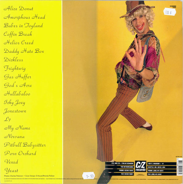 Various : Teriyaki Asthma Vols. I-V (2xLP, Comp)