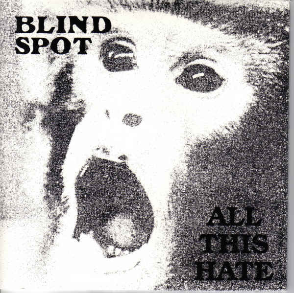 Blind Spot : All This Hate (7")