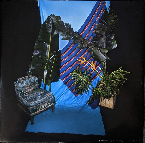 BØRNS : Blue Madonna (LP, Album)