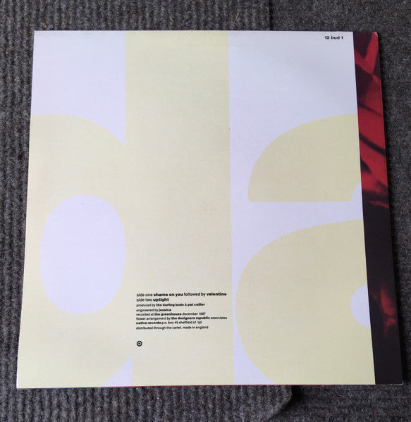 The Darling Buds : Shame On You (12", Single)