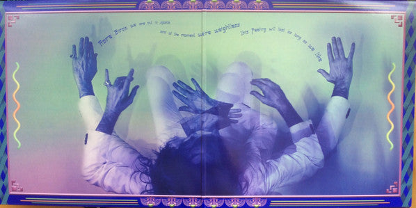 Jonathan Wilson : Rare Birds (2xLP, Album, Ltd, Gol)