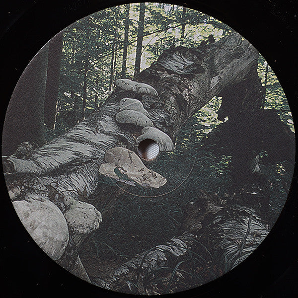 Der Blutharsch : The Philosopher's Stone (LP, Album + 7", S/Sided + Ltd)