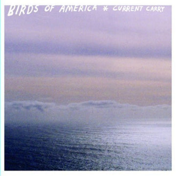 Birds Of America : Current Carry (CD, Album)