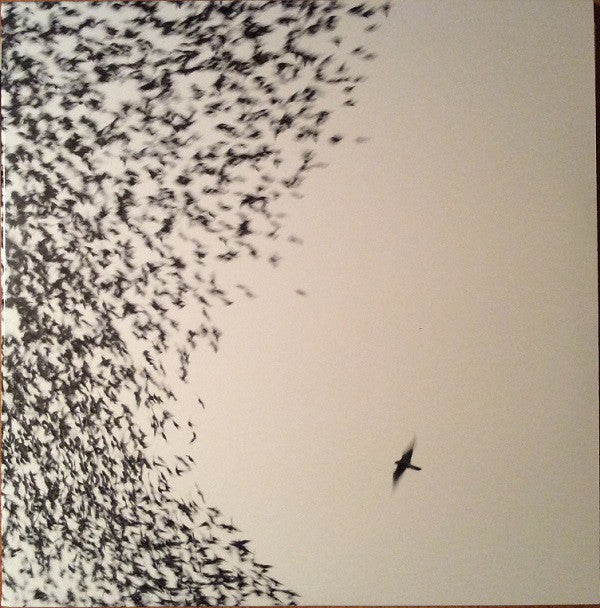 Wilco : Sky Blue Sky (2xLP, Album, 180 + CD, Album, Enh)