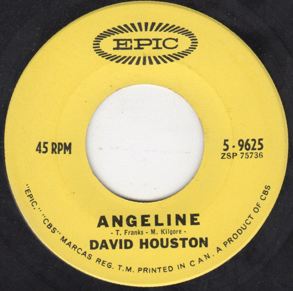 David Houston : Mountain Of Love (7", Single)