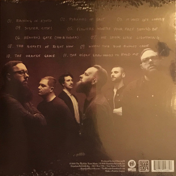 The Wonder Years : Sister Cities (LP, Album)