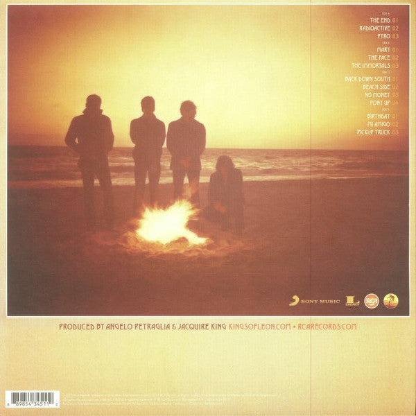 Kings Of Leon : Come Around Sundown (2xLP, Album, RE, 180)
