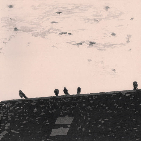 stuart A. staples : Arrhythmia (LP, Album, 180)