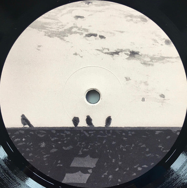 stuart A. staples : Arrhythmia (LP, Album, 180)
