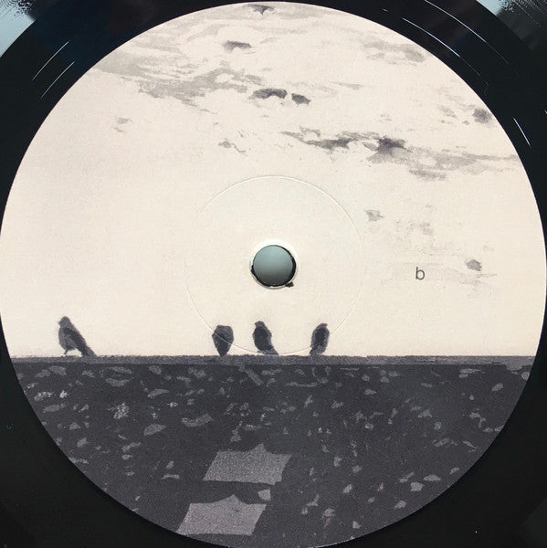 stuart A. staples : Arrhythmia (LP, Album, 180)