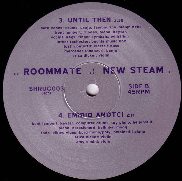 Roommate : New Steam (10")