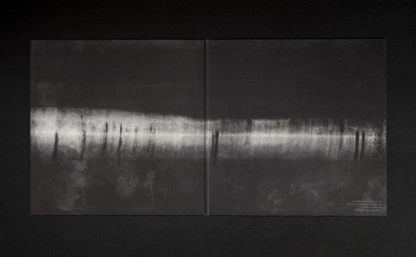 Silent Whale Becomes A° Dream : Requiem (2xLP, Album, Ltd, Cle)