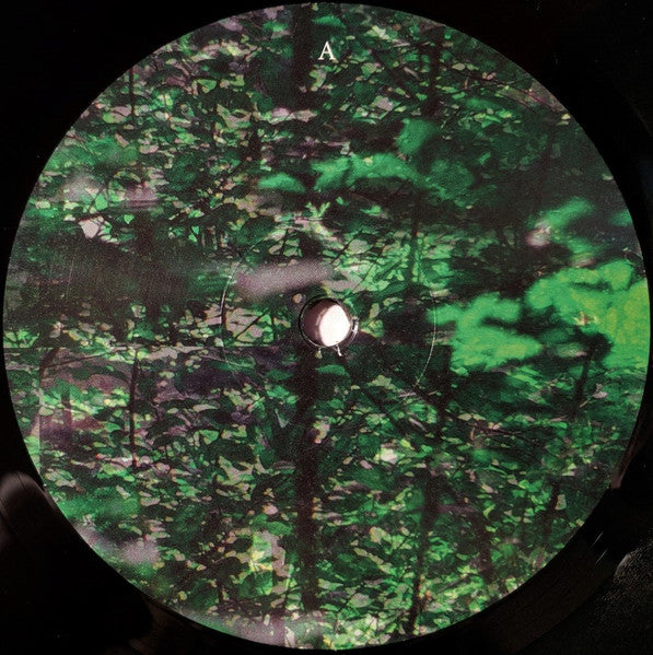 Gas : Rausch (2xLP, Album)