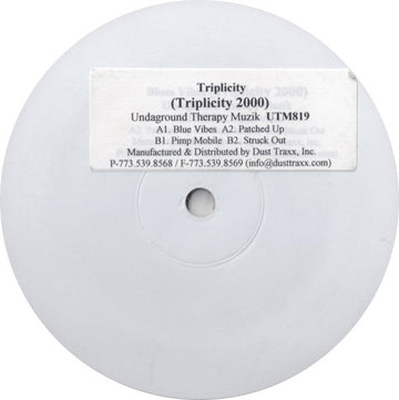 Triplicity : Triplicity 2000 (12", EP, Promo, W/Lbl, Sti)