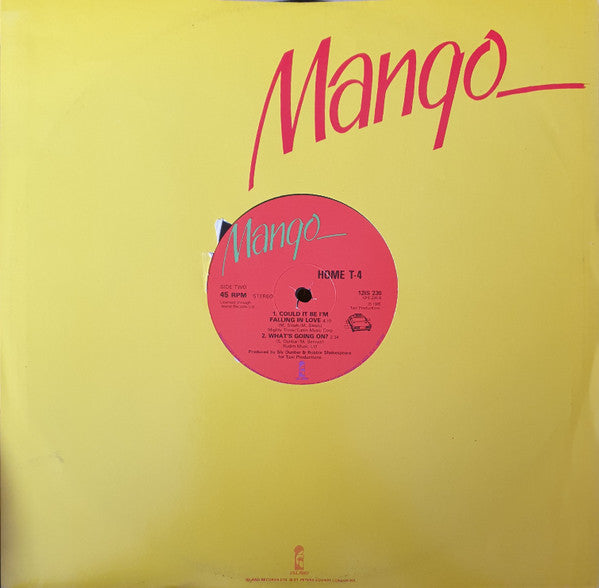 Home T-4* & Yellowman : Mr. Consular (12")