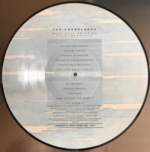 The Chameleons : What Does Anything Mean? Basically (LP, Album, Ltd, Num, Pic, RE, RM)