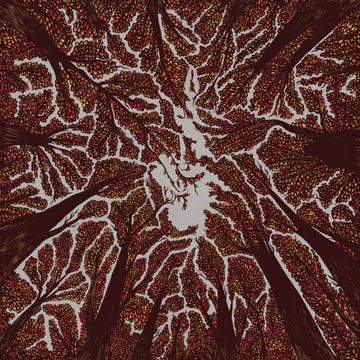 Trash Boat : Crown Shyness (LP, Album, Bla)