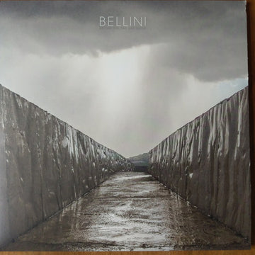 Bellini (4) : Before The Day Has Gone (LP, Album, Opa)